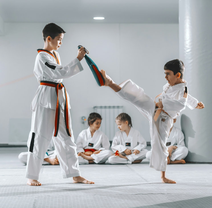 Ícono de Taekwondo Bolts